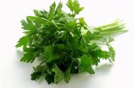 Salsa Maço