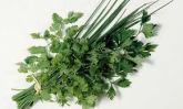 Cheiro Verde Orgânico mço
