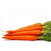 CenouraKg