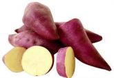 Batata Doce Kg